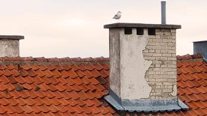 גג רעפים ועליו ארובה, שציפור עומדת עליה