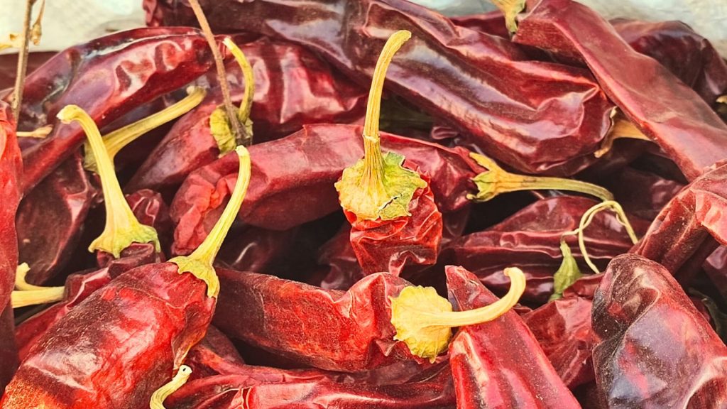 תמונה של פלפלים חריפים